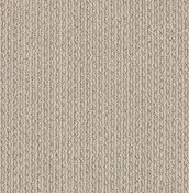 Shaw Floors Carpet Chapel Ridge Canvas 00553_ZZ045