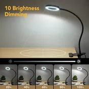 Desk Lamp