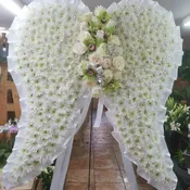 Angel wings