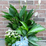 Grand Basket Garden