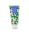 Shampoing Purifiant - Shampoo with Prickly Pear