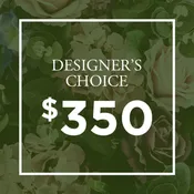 Designer's Choice $350