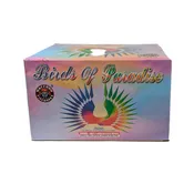Birds of Paradise — Wholesale Fireworks