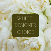 All White Designer's Choice