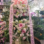 Congratulation Spray 1