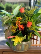 FALL EUROPEAN DISH GARDEN