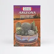 Mixed Cactus Dish Garden Postcard Wholesale