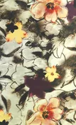 42″ Stretch Silk Charmeuse Print KYM-1701-2