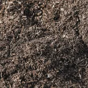 Leaf Mulch