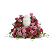 Bed of Pink Roses by Teleflora