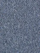 Broadloom - Capital III 18 SC - Carpet