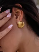 Seashell Earrings