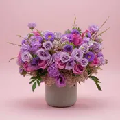 Lavender Dreams