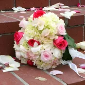 100 Roses and 15 to 20 Hydrangeas DIY Wedding Flower Kit