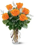 6 Orange Roses