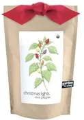 Christmas Lights Pepper Garden-in-a-Bag Kit