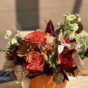 Harvest Harmony
