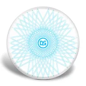 Discraft ESP Buzzz - Limited Edition Holiday 2025 (Frozen Star)