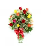 2 DOZEN MULTI ROSES