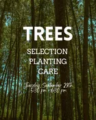 Workshop 9/29: Trees - Selection, Planting & Care — Gardenwerks