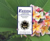 Frangipani Escential Essences Incense Sticks