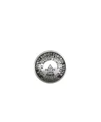 Baden Powell Pin