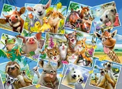 Animal Postcards Large Wooden City Puzzle