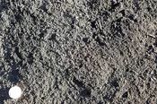 Leaf Compost