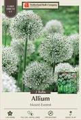Allium Mount Everest 2PK