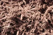 Brown Mulch