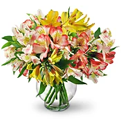 Perfect Peruvian Lilies