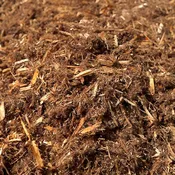 Cedar Grind Mulch
