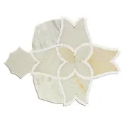Alstromeria Series