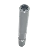 RPPT001-BIT Security Bit For six Star Screw