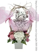 Baby Girl Flowers And Stuffed Animal