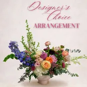 Designer's Choice- Premium