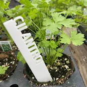 3" Vegetable/Herb