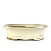 12" Flared Oval Bonsai Pot - Beige
