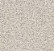 Anderson Tuftex Carpet Ambitious Canvas 00102_ZZ327