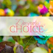 Designer's Choice