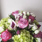 Loves Purple!
