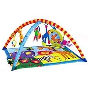Baby Activity Gym