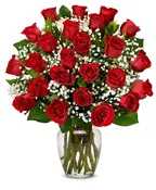 2 DZ DELUXE RED ROSES