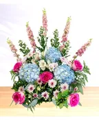 ADORATION: PINK AND BLUE
