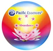 Abundance Essence Combination Essence