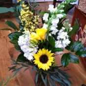 Sunflower, freesia, snaps and such