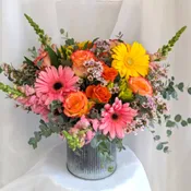 Pretty Gerbera