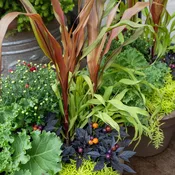 Autumn Abundance Seasonal Container