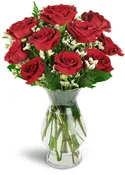 Devoted to You™ Red Roses