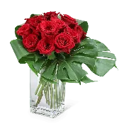 Modern Roses (12)
